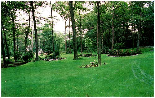 View 17 of 150 Forest Avenue