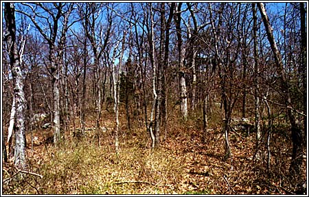 View 1 of 6 - Two Beautiful Secluded Lots