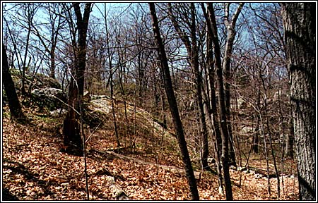 View 2 of 6 - Two Beautiful Secluded Lots
