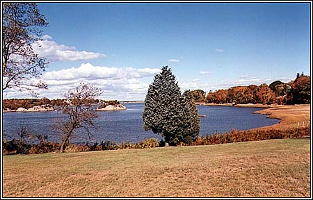 View 4 - Little Harbor & Ocean