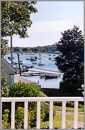 View 5 - 4-6 Margin Street #6B