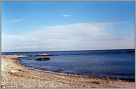 View 3 - 400 Atlantic Avenue
