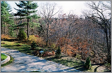 View 2 - 23 Cedar Lane - Lot 1