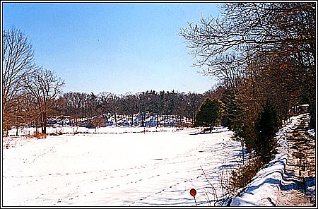 View 10 - Lot 11 Jerusalem Road