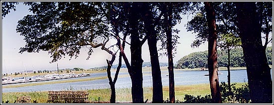 View 2 - 27 Parker Avenue