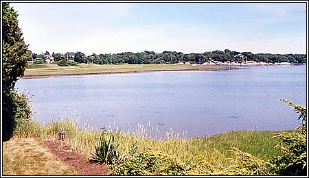 View 4 - 131 Nichols Road #1