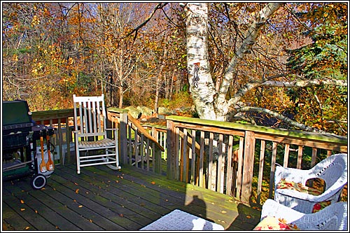 View 11 - 101 Doane Street