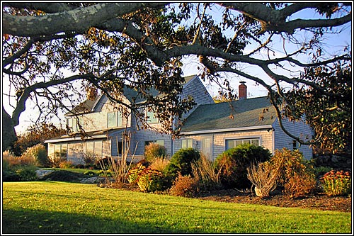View 3 - 426 Atlantic Avenue