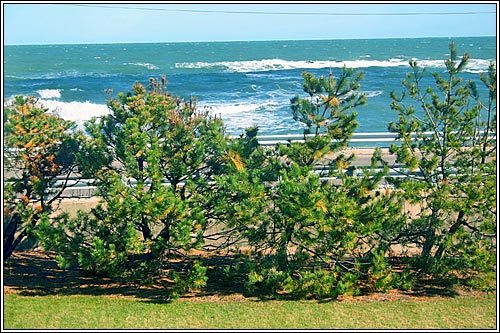 View 7 - 426 Atlantic Avenue