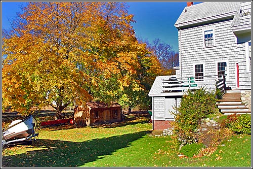 View 26 - 312 Forest Avenue