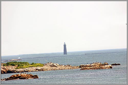 View 6 - 131 Nichols Road, #5