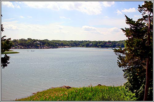 View 10 - 131 Nichols Road, #5