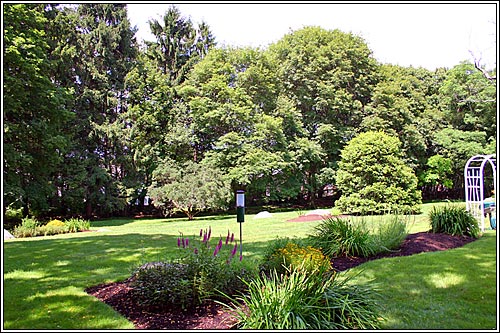 View 5 - 35 Pond Street