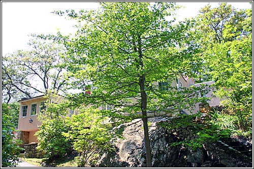 View 11- 34 Atlantic Avenue