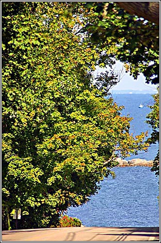 View 1 - 303 Forest Avenue