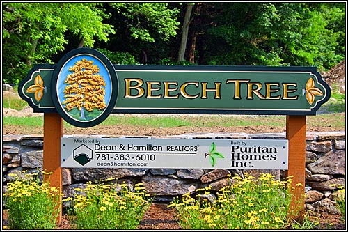 View of Beech Tree 9 Lot Subdivision