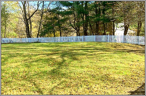 View 3 - 456 Beechwood Street
