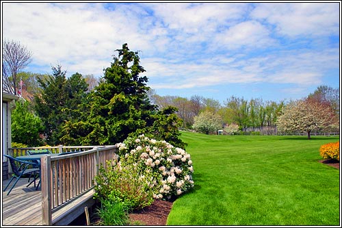 View 5 - 11 Linden Drive