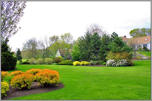 View 6 - 11 Linden Drive