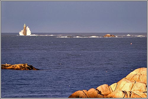 View 11 - 143 Atlantic Avenue