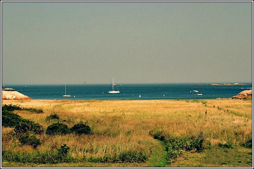 View 18 - 123 Atlantic Avenue