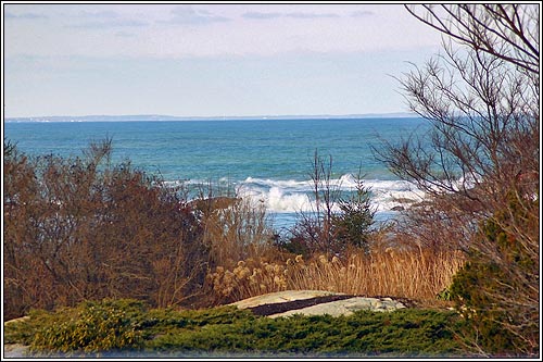 345 Forest Avenue - view 17