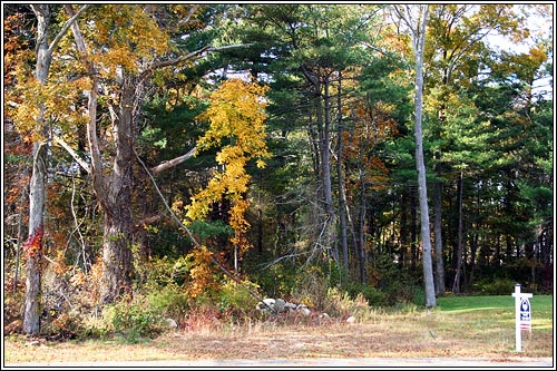 Available for sale for Custom Design Home on Lot #2
