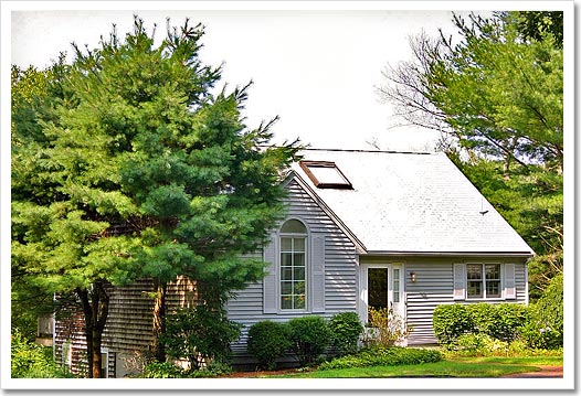 View 1 - 39 Cedar Street