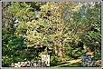Dean and Hamilton Exclusive Property Listing