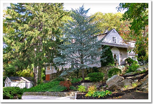 View 1 - 31 Atlantic Avenue