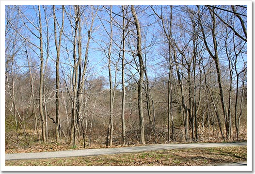 View 12 - 55 Cushing Road