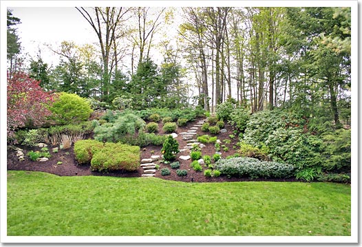 View 5 - 167 Fair Oaks Lane