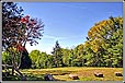 Dean and Hamilton Exclusive Property Listing