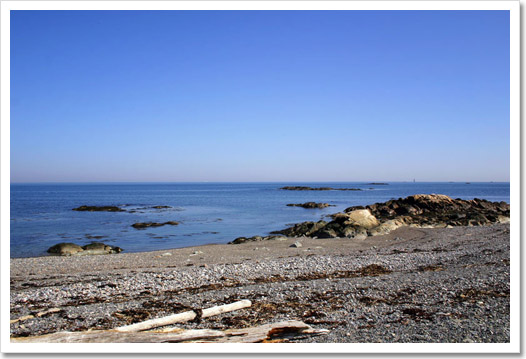 View 2 - Atlantic Avenue Rental