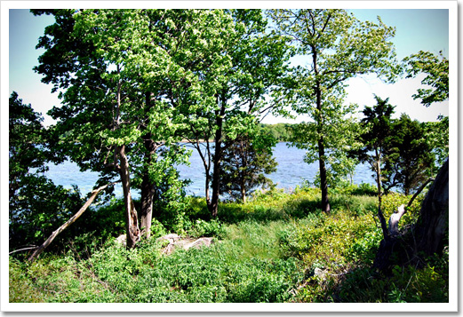View 3 - 0 Montana Avenue