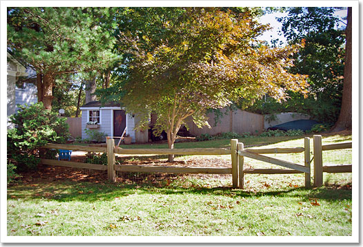 View 4 - 269 Forest Avenue