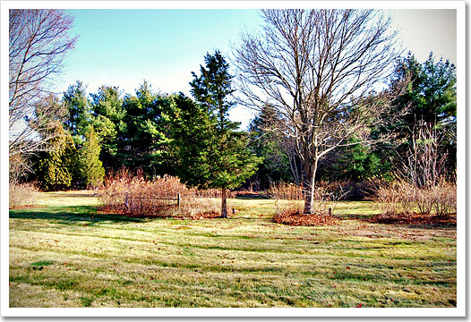 View 4 - 934 Main Street, Hingham