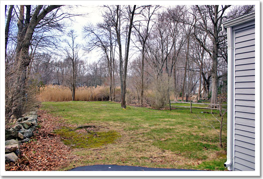 View 4 - 17 Black Horse Lane
