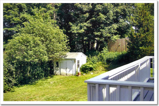 View 4 - 40 Norfolk Road