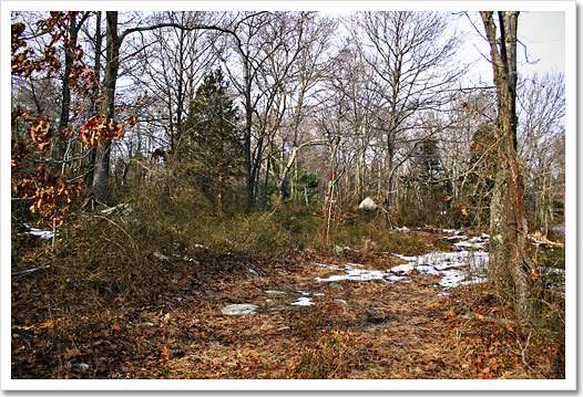 View 3 - Lot 4 Stratford Terrace