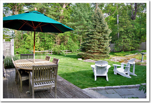 View 3 - 263 Forest Avenue