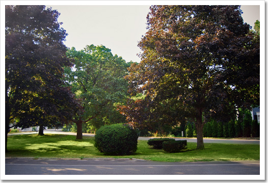 View 37 - 109 North Main Street