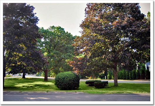 View 32 - 130 North Main Street
