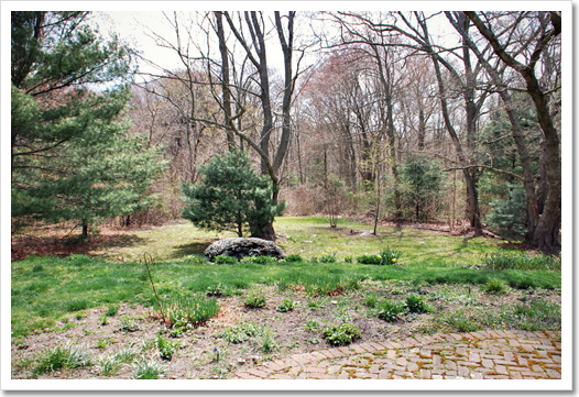 View 38 - 142 Pond Street