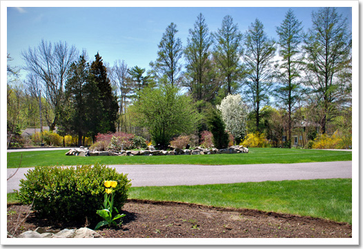 View 36 - 272 Beechwood Street