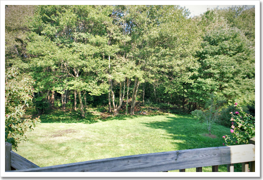 View 26 - 12 Hillside Drive
