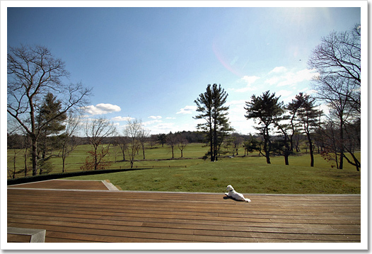 View 4 - 97 Lamberts Lane