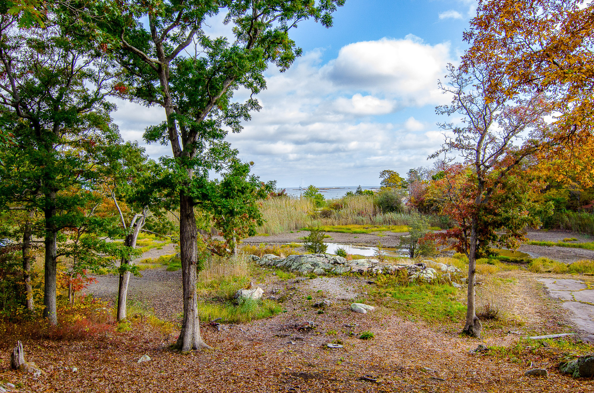 6264 White Head Road, Cohasset at Dean and Hamilton Compass