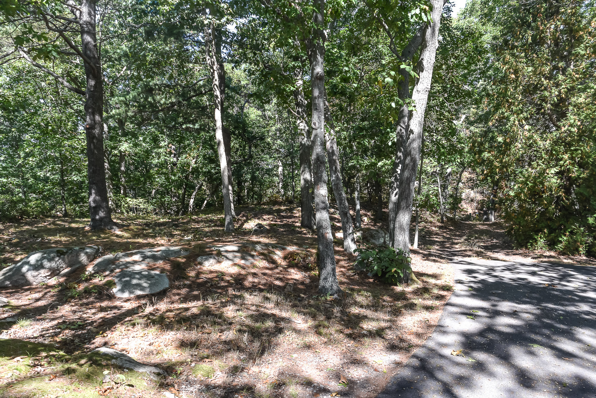 6264 White Head Road, Cohasset at Dean and Hamilton Compass